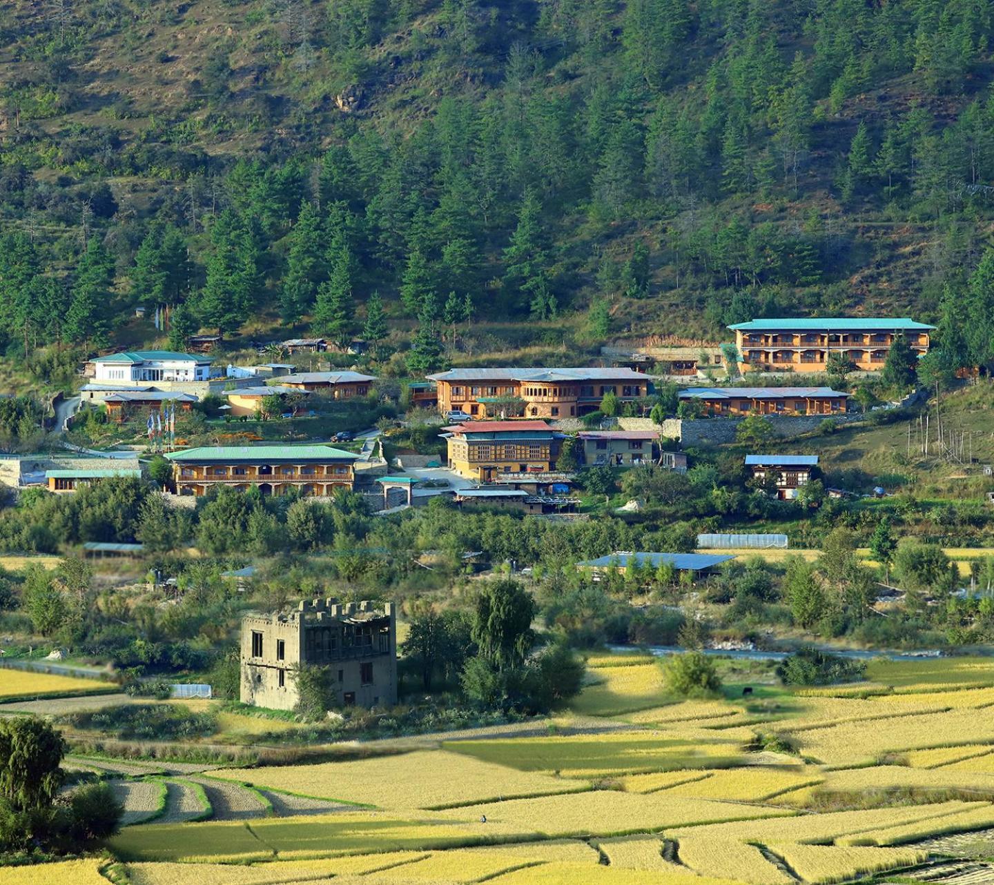 Rema Resort Paro Extérieur photo